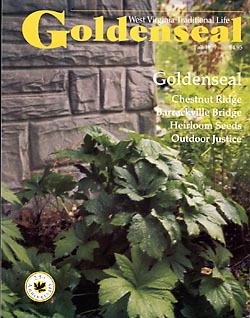 1999 Fall Cover