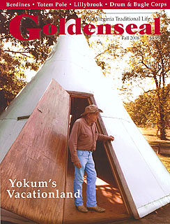 2008 Fall Cover